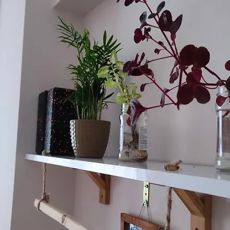Apartment Istanbul Istanbul